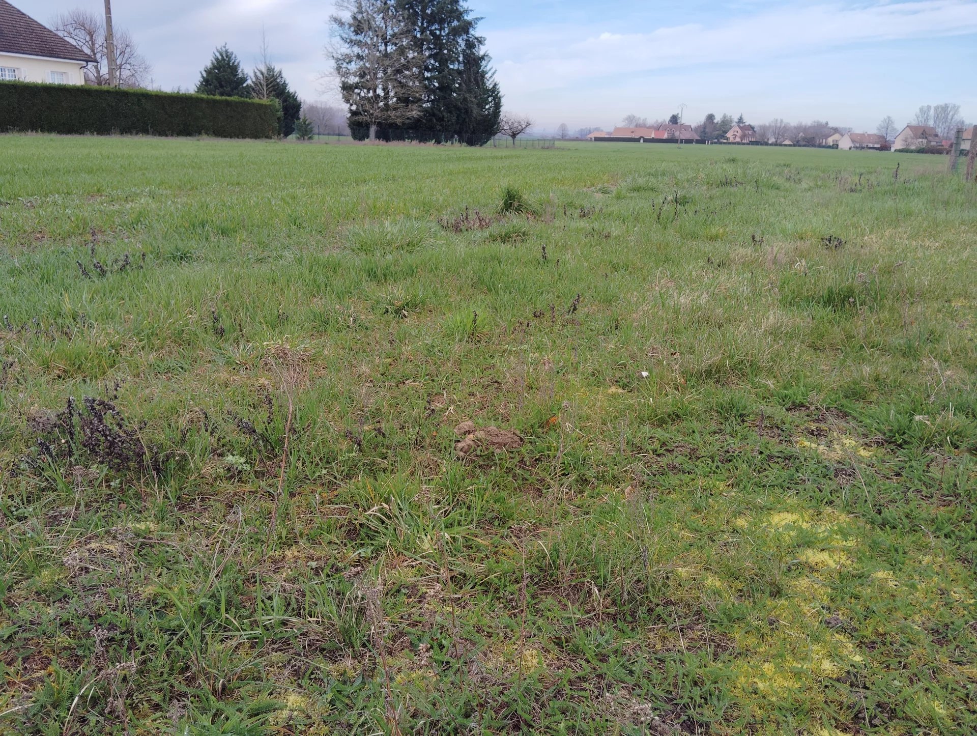 Terrain constructible à Sassenay