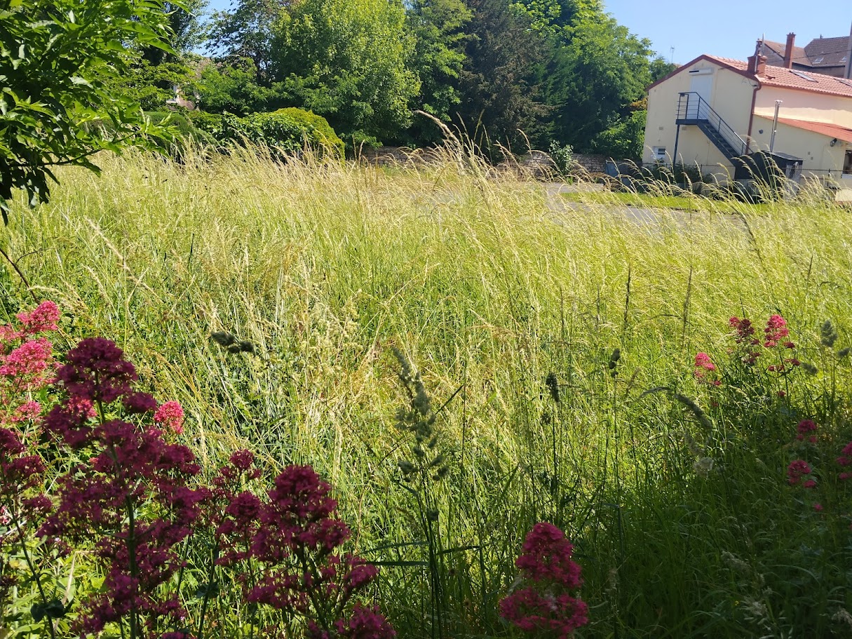 Terrain à Chalon s/S